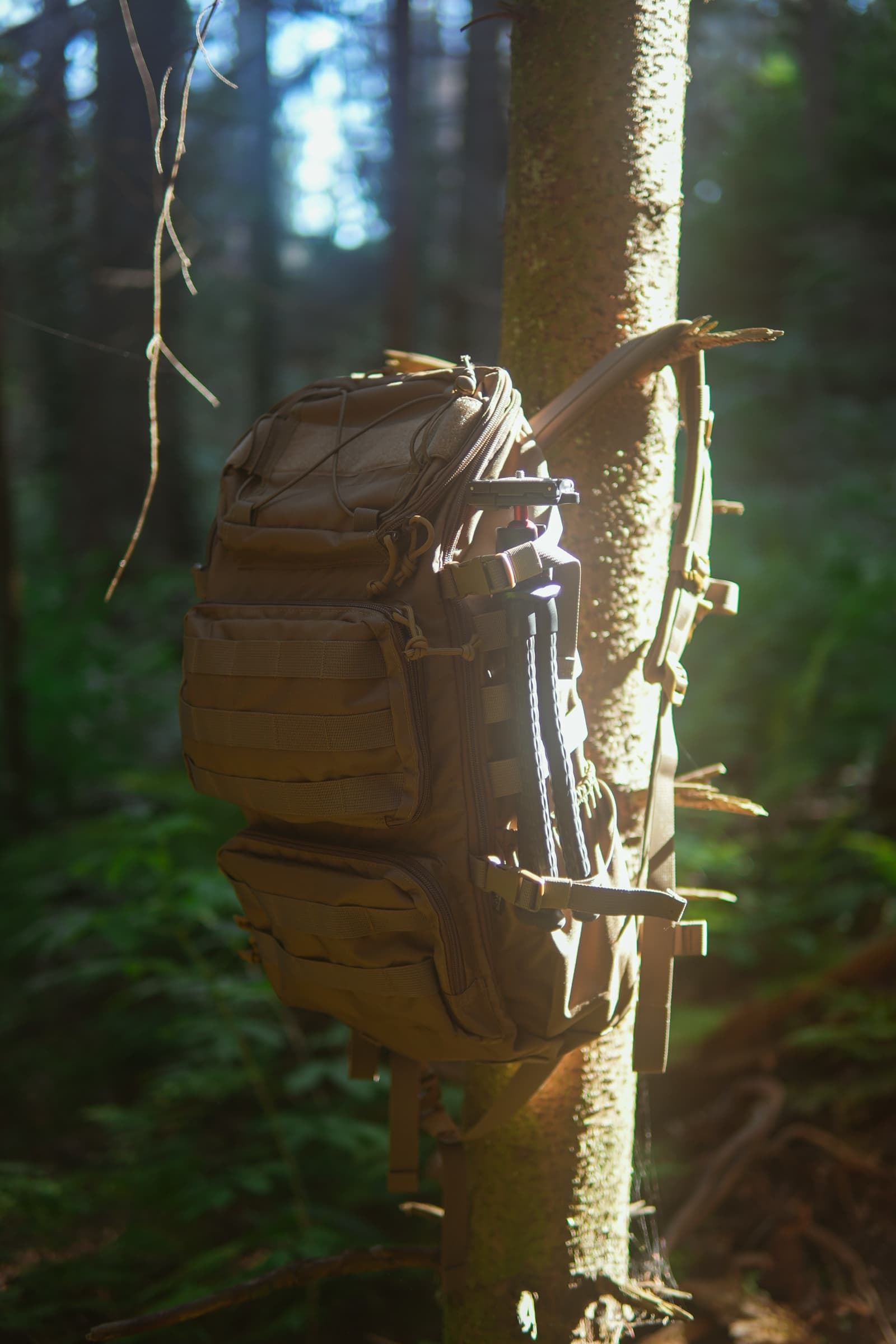 Trailhead